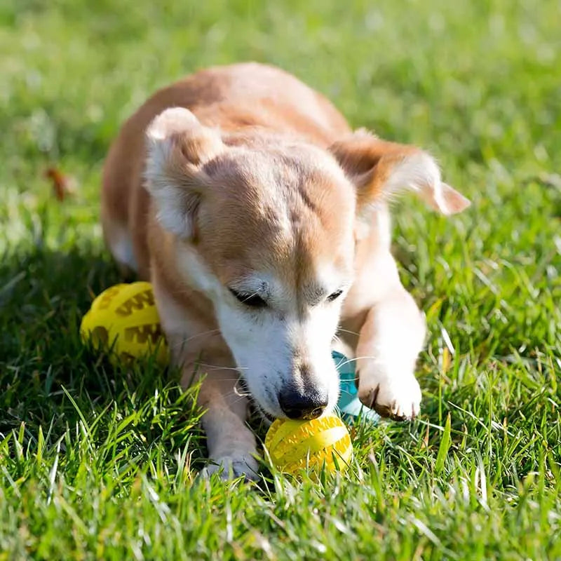 Dog Treat Toy Ball 5cm/7cm