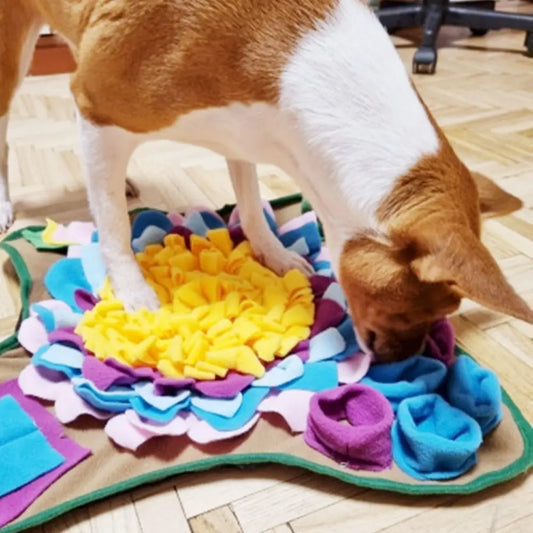 DUALPET Dogs Snuffle Mat