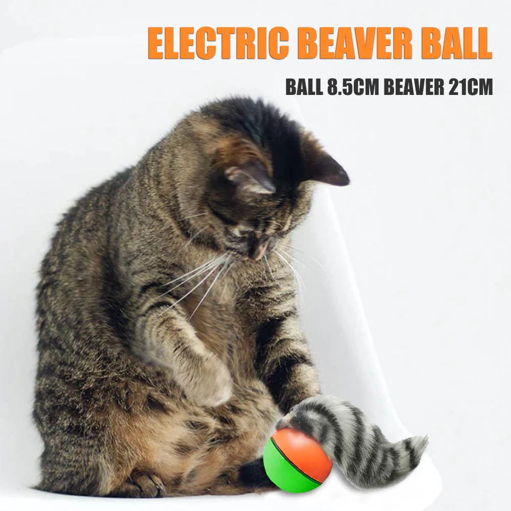 Electric Beaver Weasel Rolling Ball Pet Dog Cat Interactive Chasing Toys Simulation Beaver Mouse Moving Training Dog Agility Toy