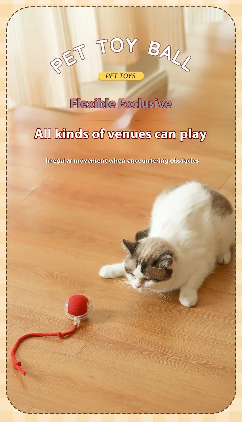 Have Fun All Day Interactive Cats Toy Ball Automatic Electric Rolling Ball Toy Cat/Pet SmartAutomatic Teaser USB Charging