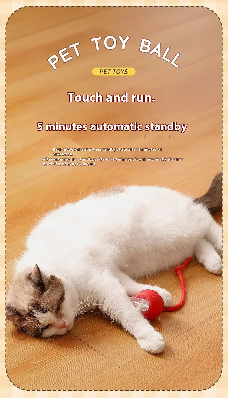 Have Fun All Day Interactive Cats Toy Ball Automatic Electric Rolling Ball Toy Cat/Pet SmartAutomatic Teaser USB Charging