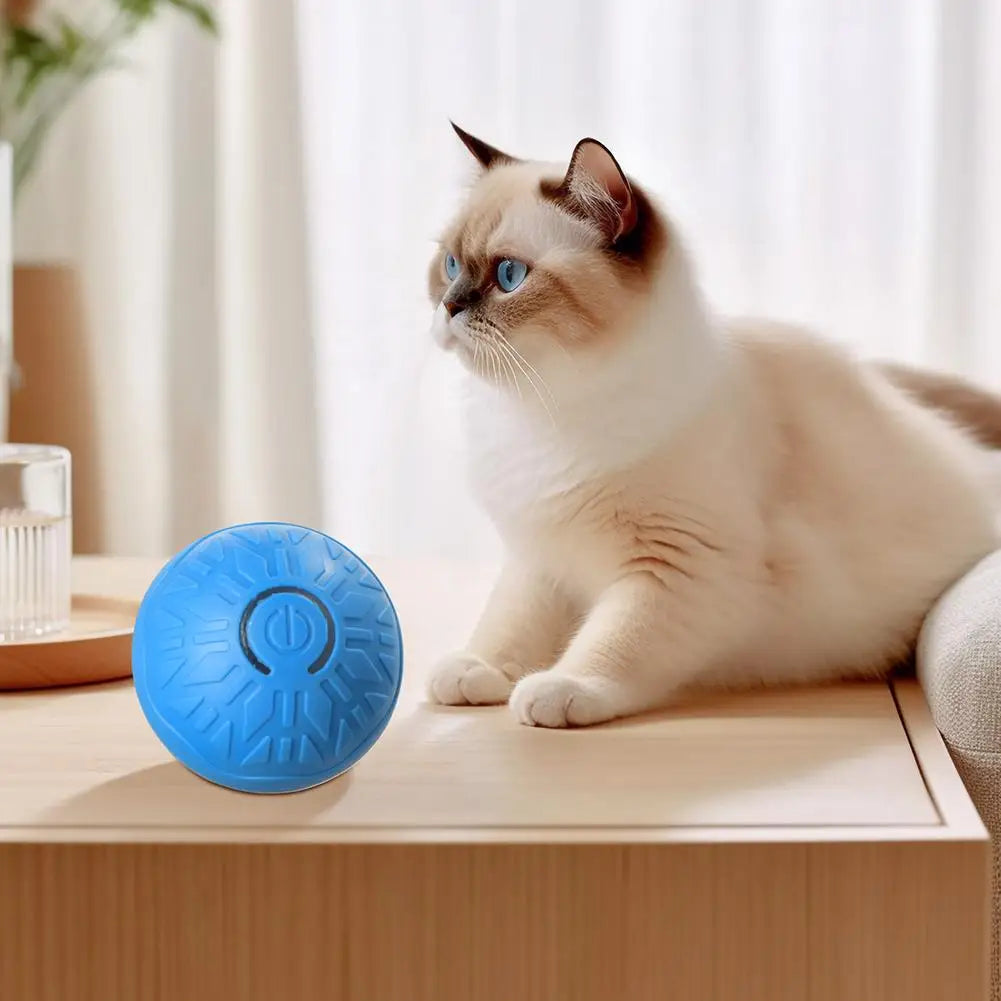 Automatic Rolling Cat Toy Ball