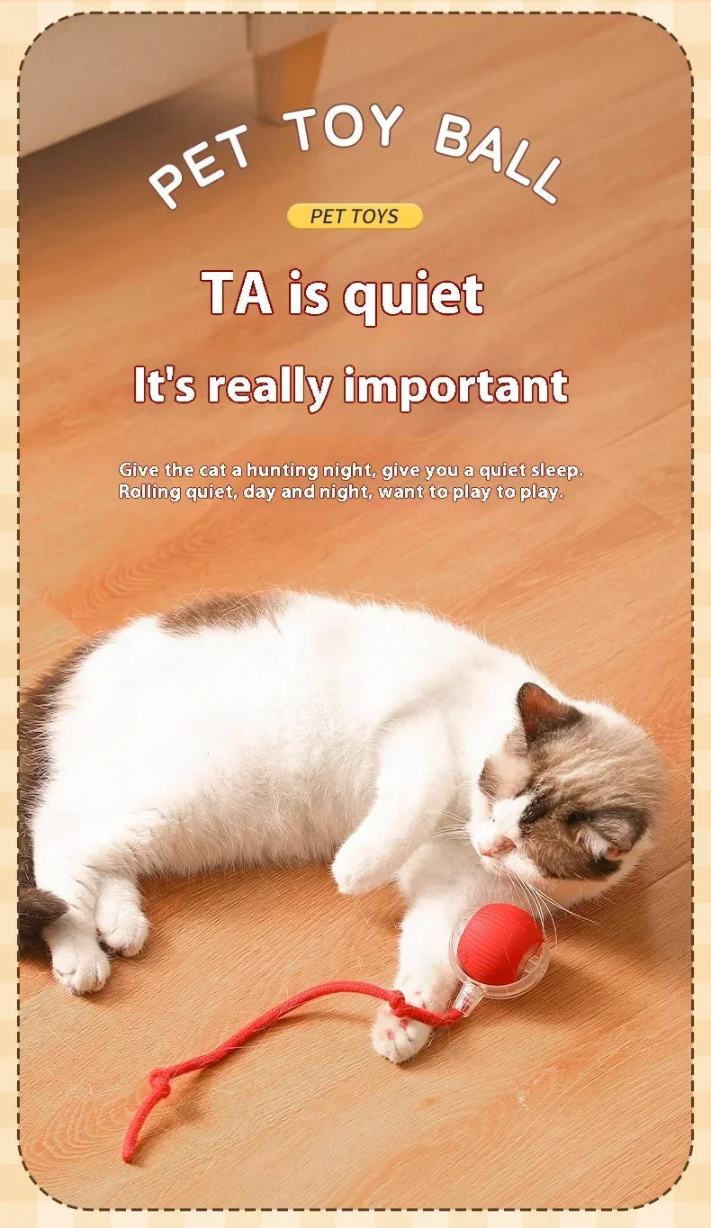 Have Fun All Day Interactive Cats Toy Ball Automatic Electric Rolling Ball Toy Cat/Pet SmartAutomatic Teaser USB Charging