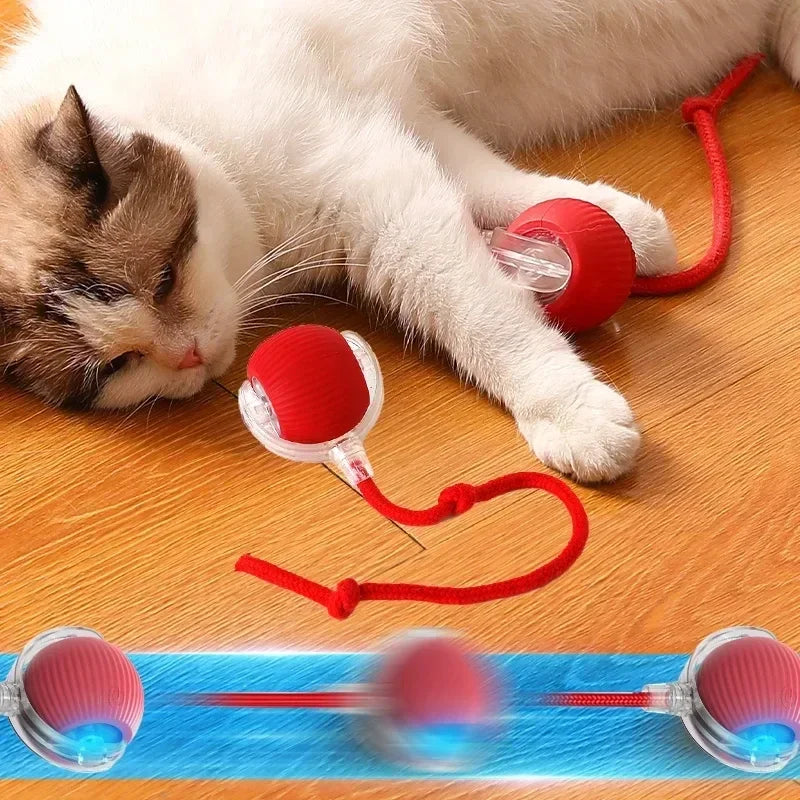 Have Fun All Day Interactive Cats Toy Ball Automatic Electric Rolling Ball Toy Cat/Pet SmartAutomatic Teaser USB Charging