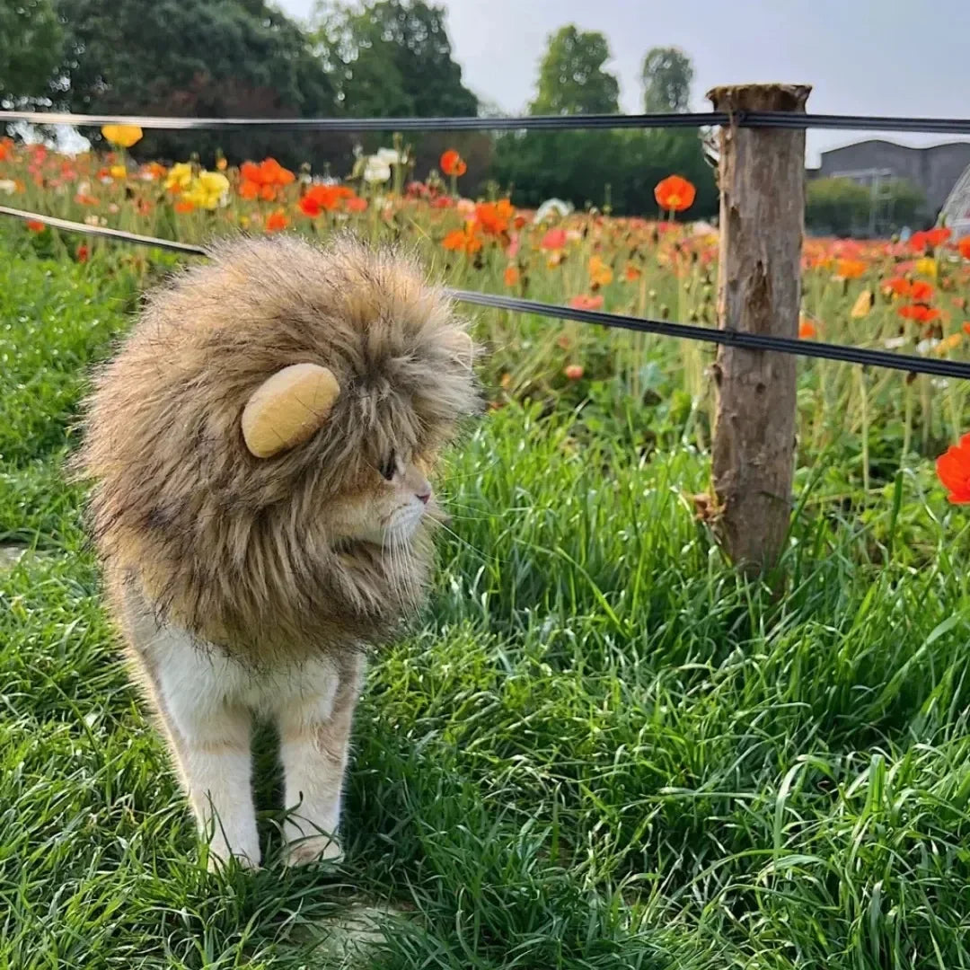 Funny Hat for Dogs Cat Cosplay Dress Up Lion Mane Wig Costume Party Decoration Halloween Christmas Pet Supplies Hallowen Perro