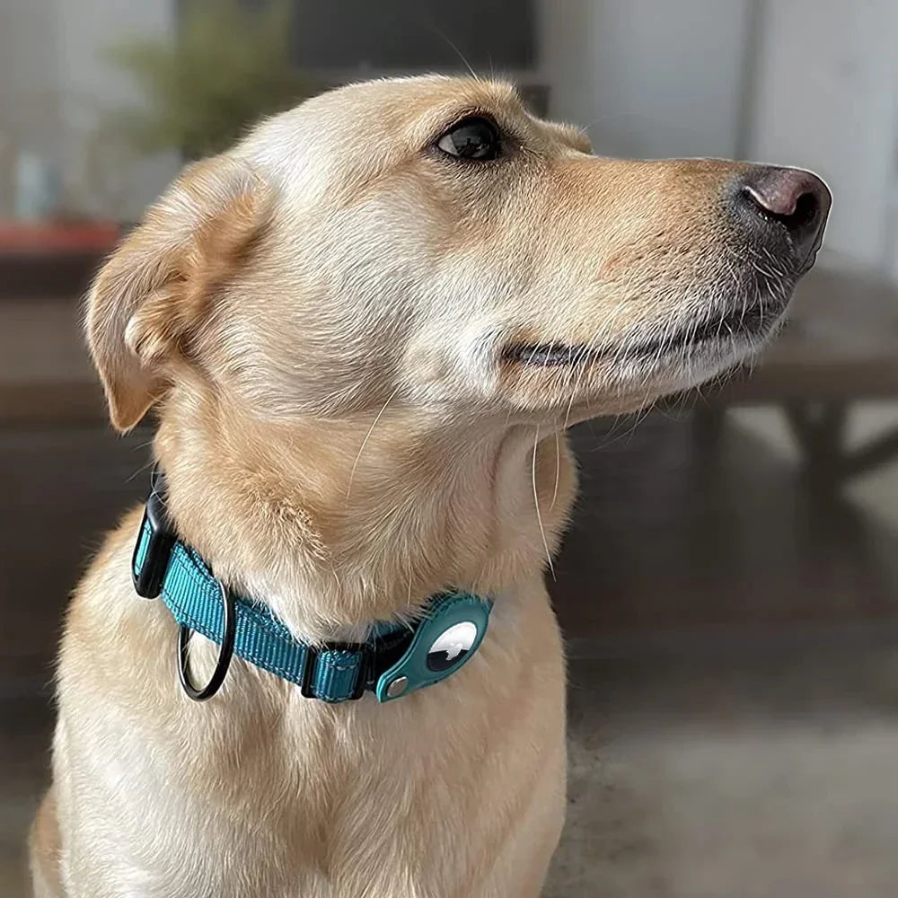 AirTag Pet Collar For Large Dogs