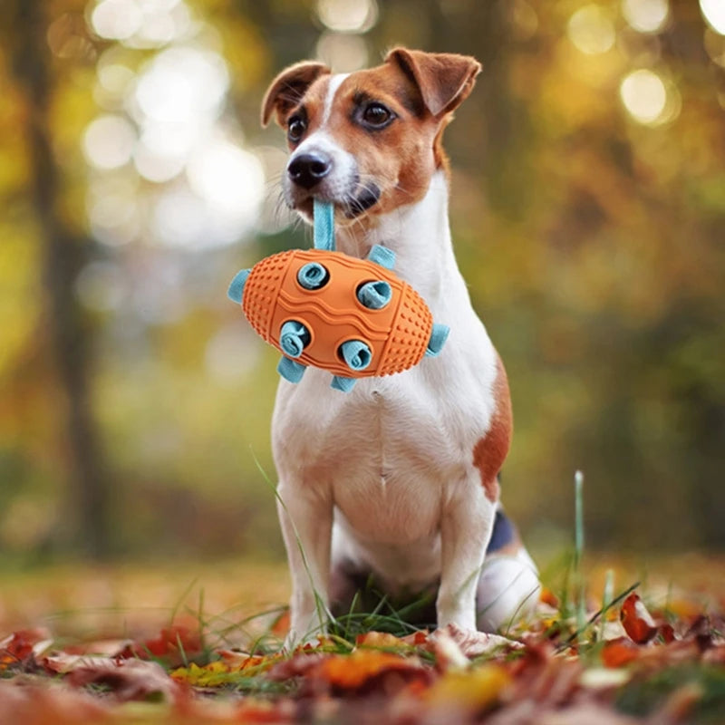 Large Dog Snuffle Toy Puzzle Chew Toy Footballs for Small Dogs Drop shipping