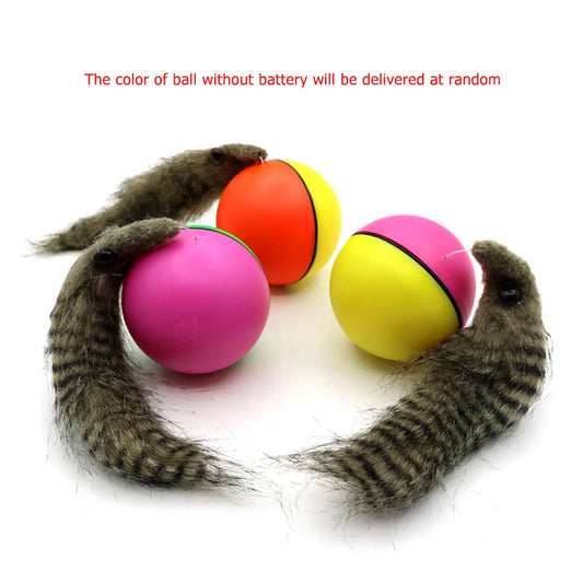 Electric Beaver Weasel Rolling Ball Pet Dog Cat Interactive Chasing Toys Simulation Beaver Mouse Moving Training Dog Agility Toy