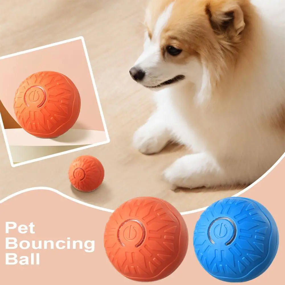 Automatic Rolling Cat Toy Ball