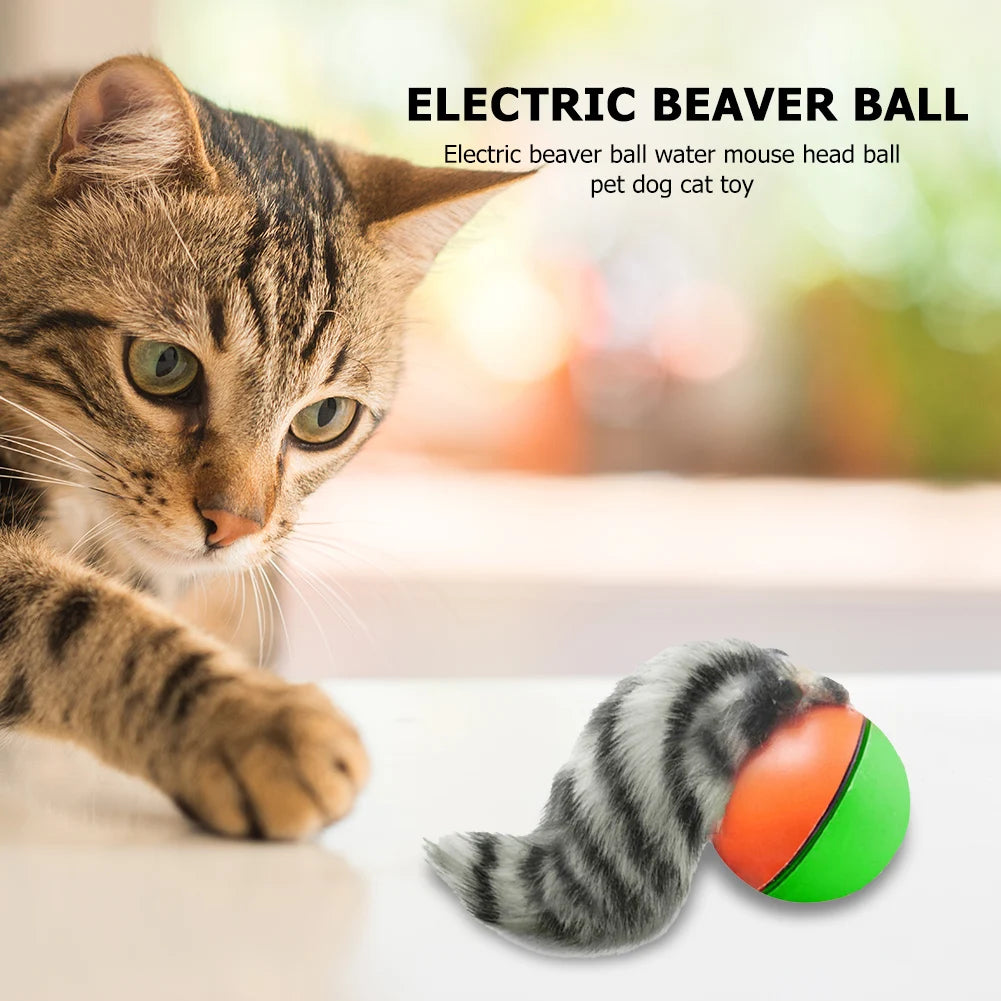 Electric Beaver Weasel Rolling Ball Pet Dog Cat Interactive Chasing Toys Simulation Beaver Mouse Moving Training Dog Agility Toy