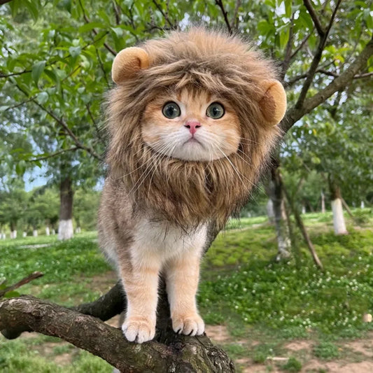 Funny Hat for Dogs Cat Cosplay Dress Up Lion Mane Wig Costume Party Decoration Halloween Christmas Pet Supplies Hallowen Perro