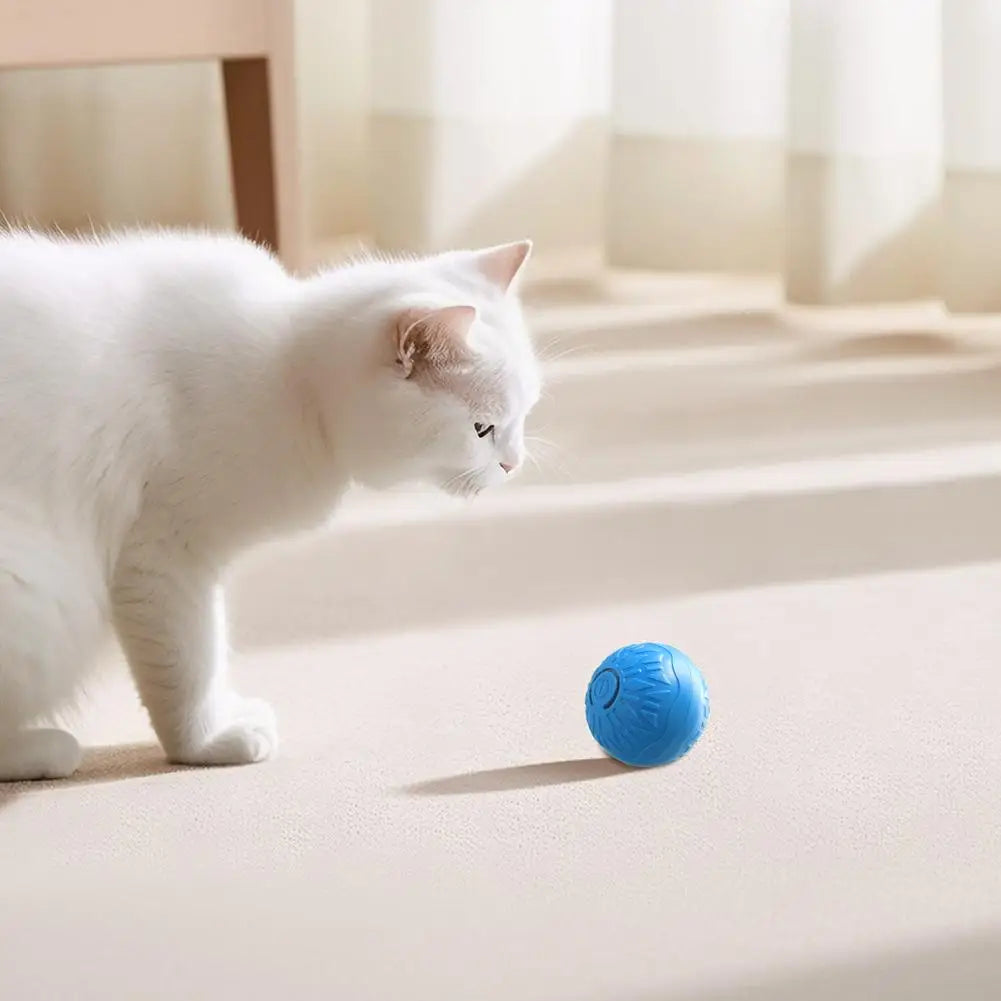 Automatic Rolling Cat Toy Ball