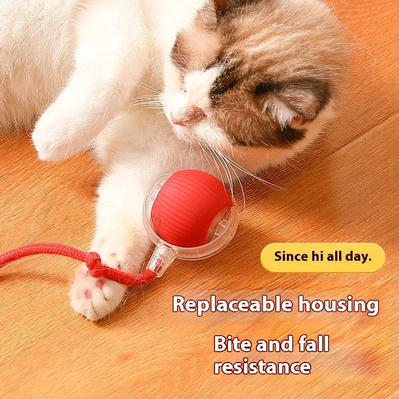 Have Fun All Day Interactive Cats Toy Ball Automatic Electric Rolling Ball Toy Cat/Pet SmartAutomatic Teaser USB Charging